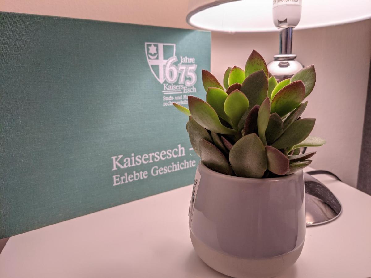 Kaisersesch Ferienwohnung Am Waldweg מראה חיצוני תמונה